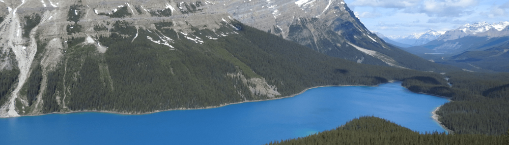 Panoramic photo of Lake Peyto, the most beautiful lake in Canada. The crystal water comes from the melting glaciers.