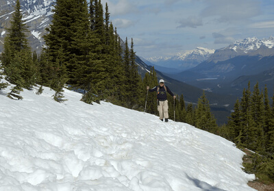Peyto Lake trail covered in snow