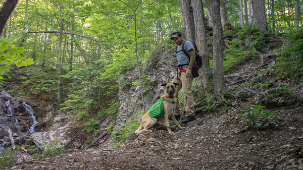 Dean Campbell hiking with his dog in the Gatineau Park